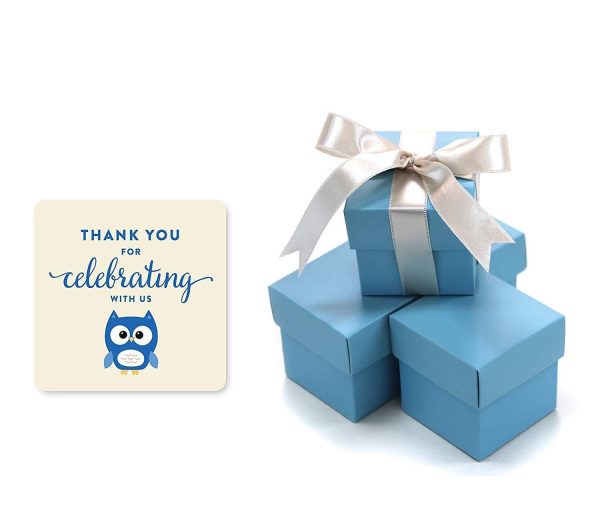 Boy Owl Baby Shower Favor Box DIY Party Favors Kit For Cheap