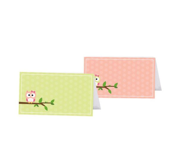 Modern Owl Girl Baby Shower Table Tent Place Cards Hot on Sale