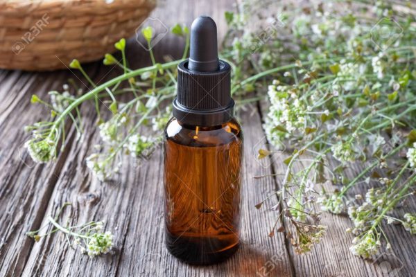 Custom Herbalist Tincture, 4 OZ Hot on Sale
